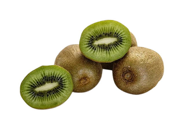 Kiwi Green-Pack Of 4