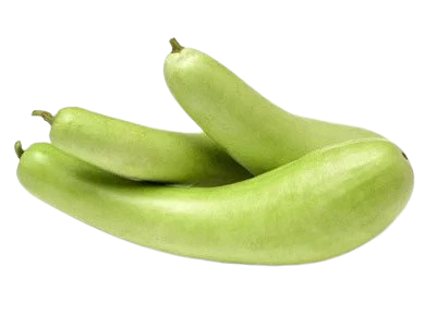 Bottle Gourd - Per Pc