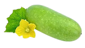 Ash Gourd - Per Pc