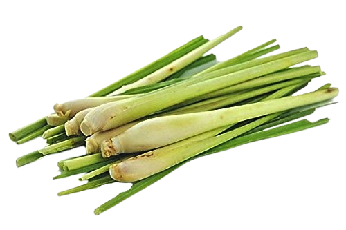 Lemon Grass - 100 Gms