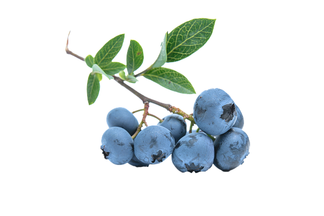 Blue Berry - 125 Gram