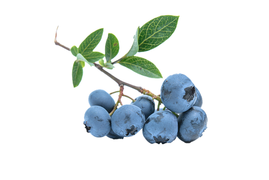 Blue Berry - 125 Gram