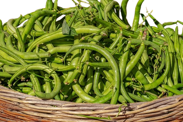 French Beans-250 Gm