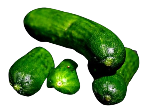 Cucumber - 500 Gram