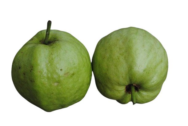 Allahabad Guava - 500g