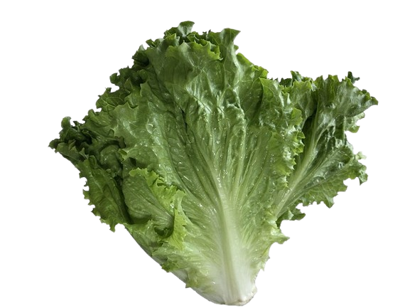 Lettuce - 200 Gram