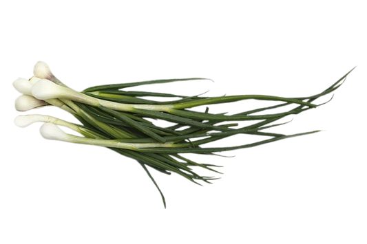 Green Onion -250 Gram